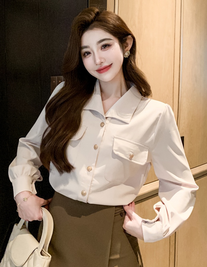 Profession commuting small shirt temperament spring tops