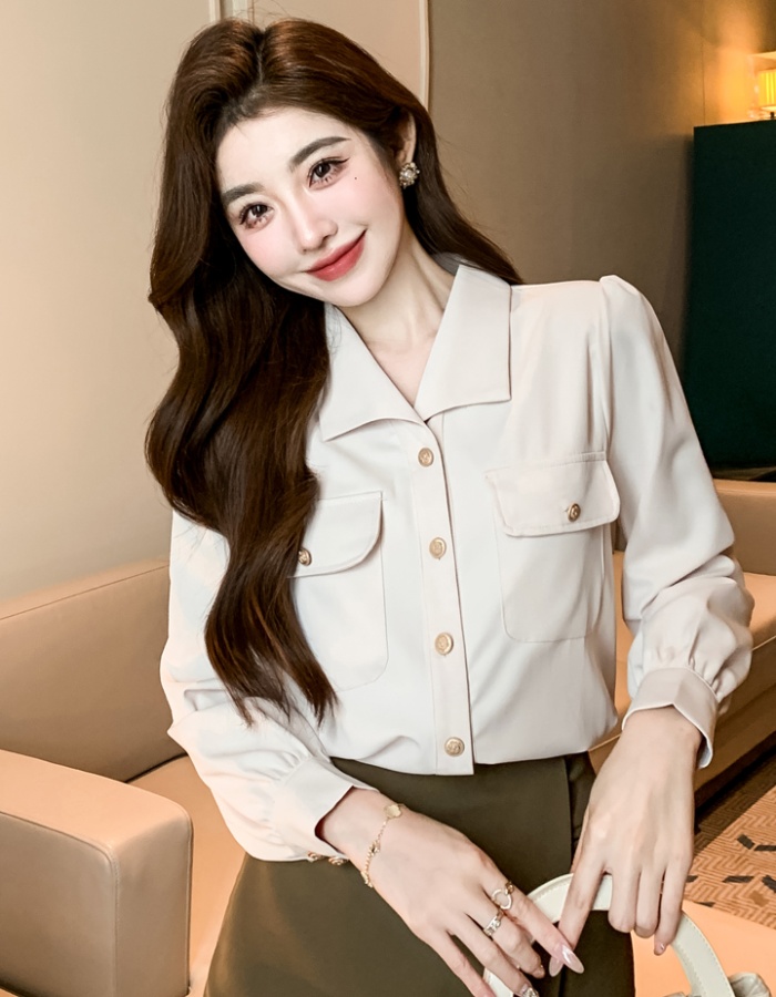 Profession commuting small shirt temperament spring tops