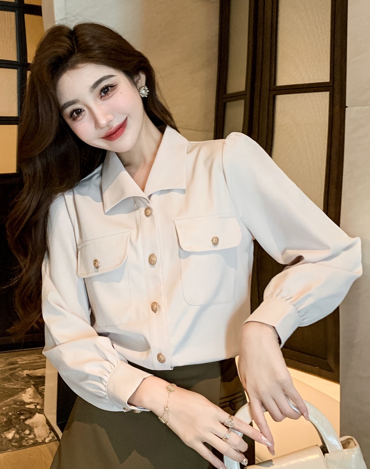 Profession commuting small shirt temperament spring tops