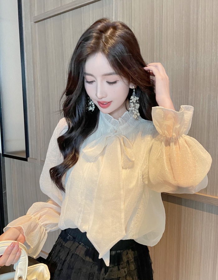 Long sleeve frenum small shirt bow shirt for women