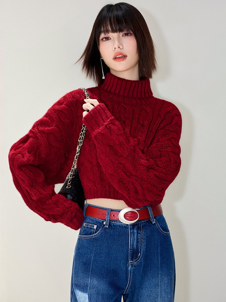 Casual twist knitted half high collar sweater for women