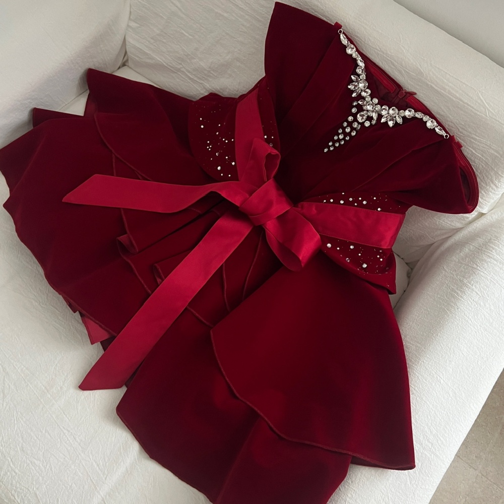 Christmas retro velvet dress