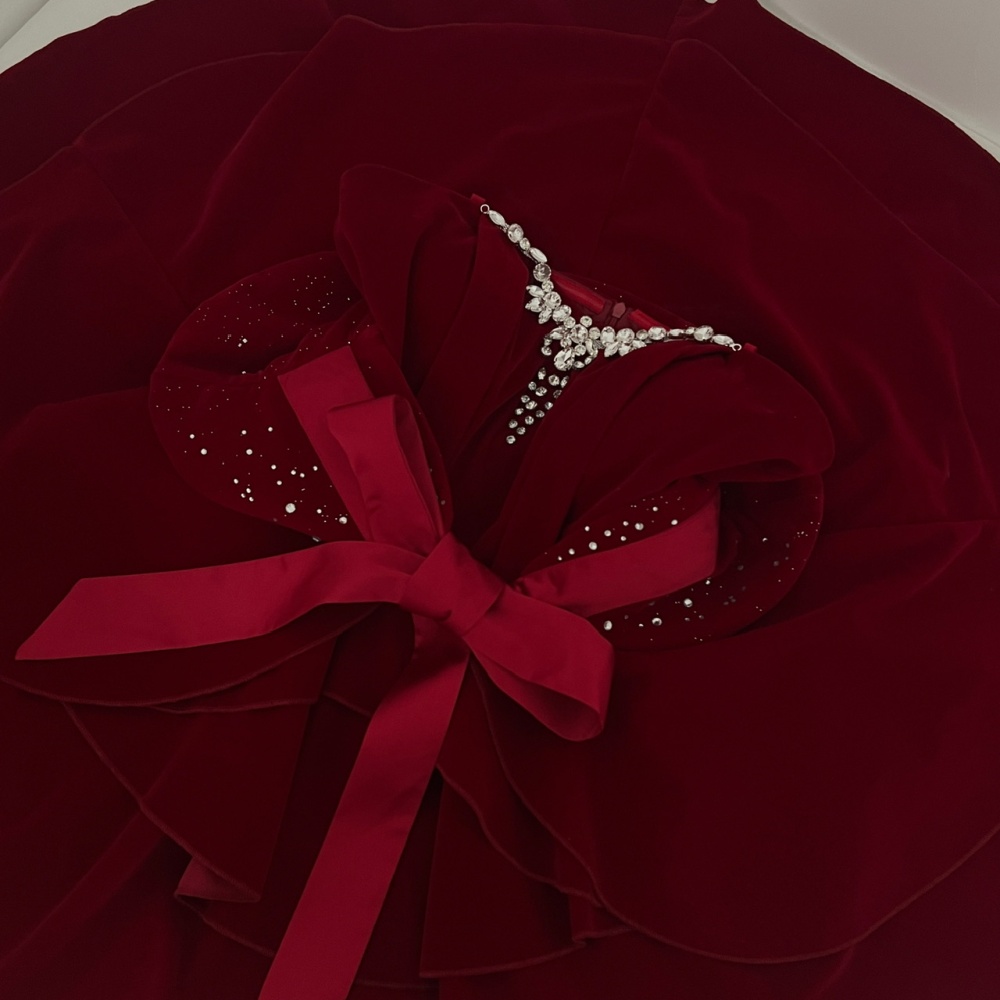 Christmas retro velvet dress