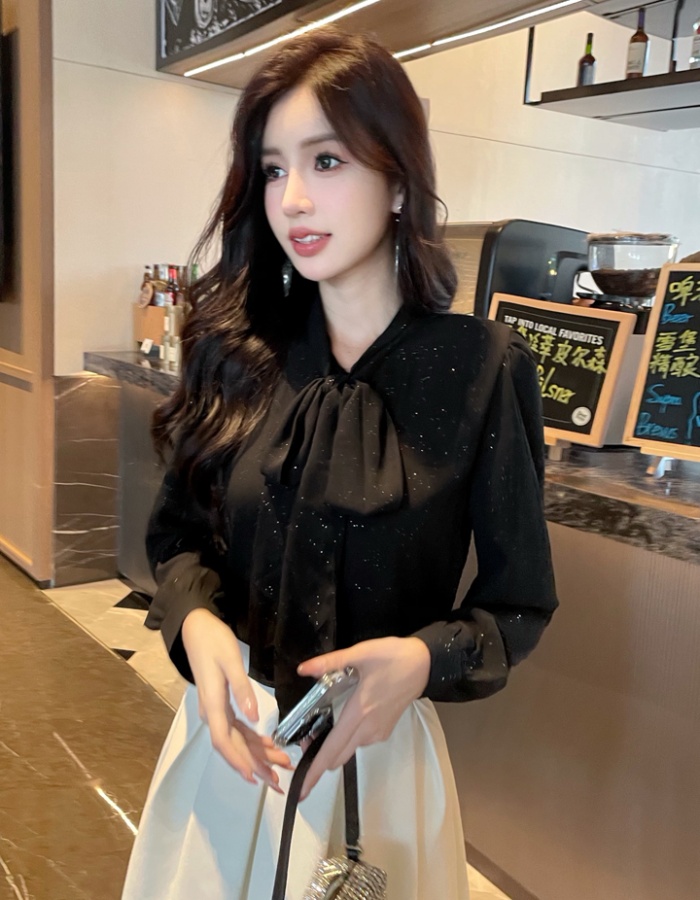 France style chiffon shirt profession shirt