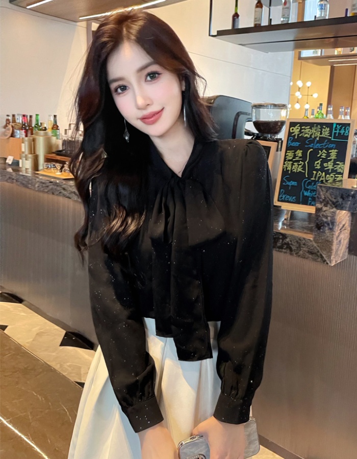 France style chiffon shirt profession shirt