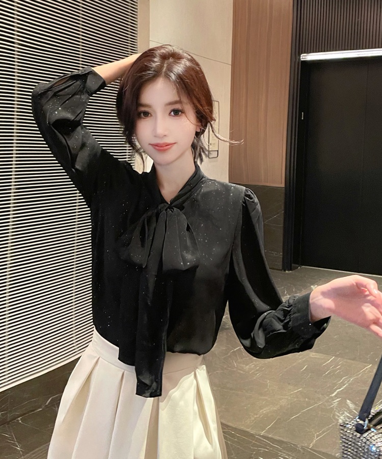 France style chiffon shirt profession shirt