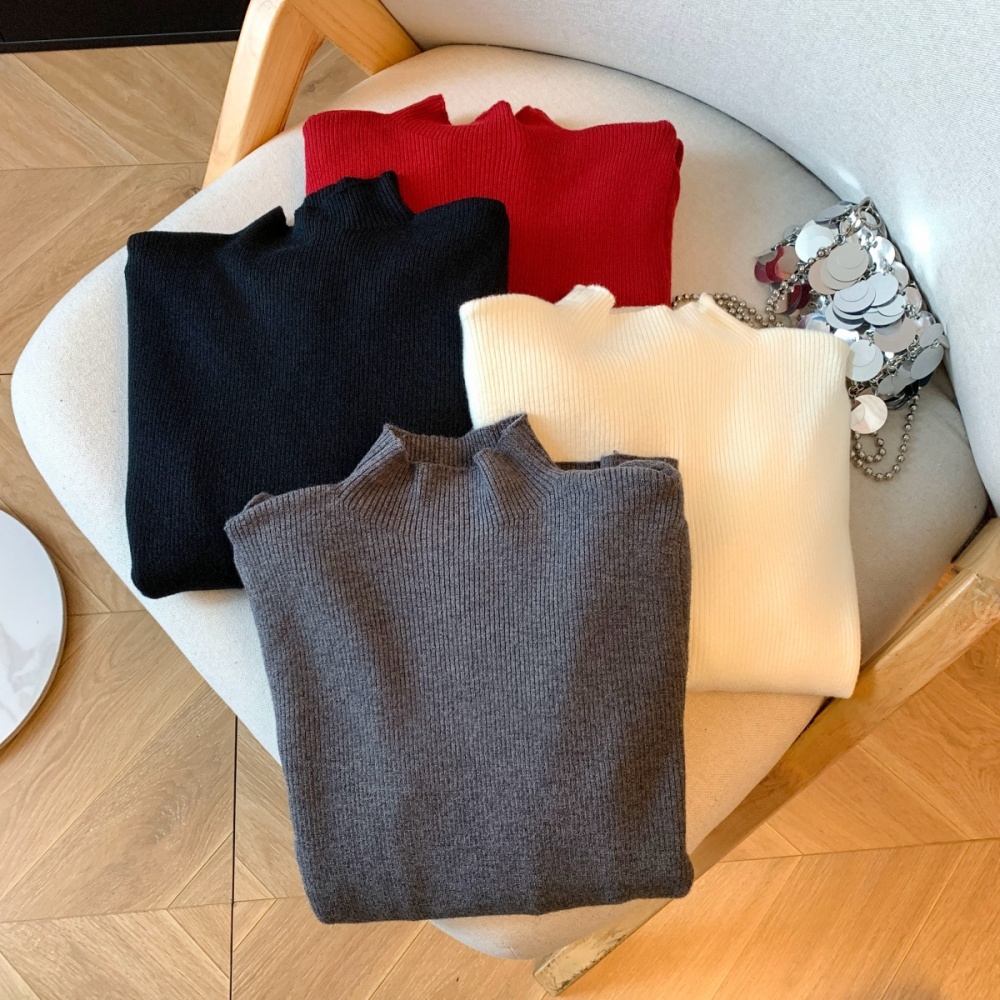 France style winter tops inside the ride bottoming shirt for women