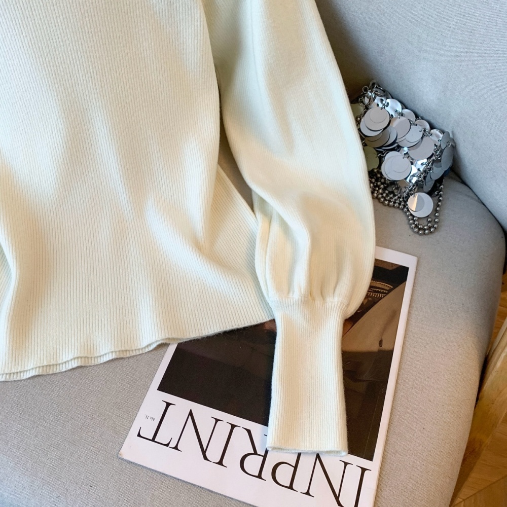 France style winter tops inside the ride bottoming shirt for women