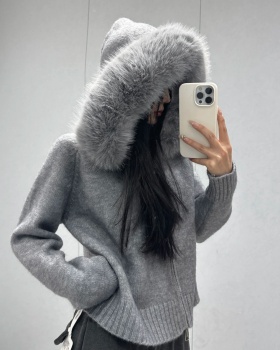Korean style autumn and winter sweater hooded tops