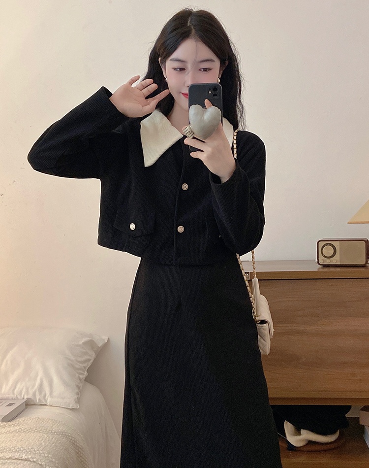High waist skirt temperament coat 2pcs set for women