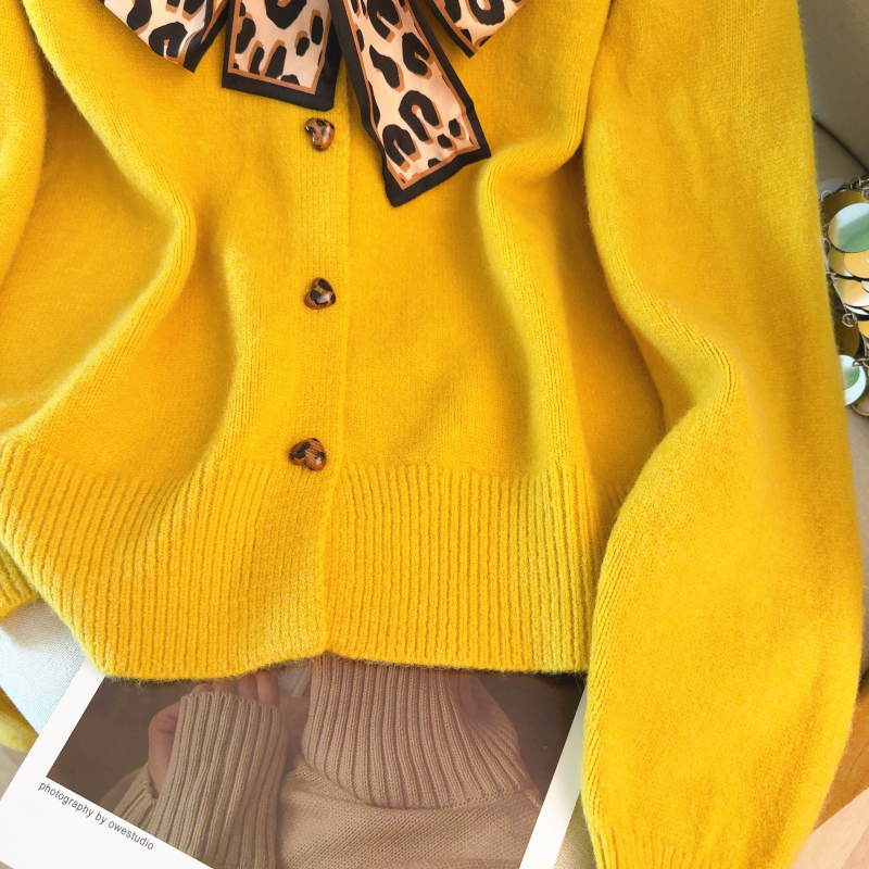 Spring all-match scarves pullover leopard tops