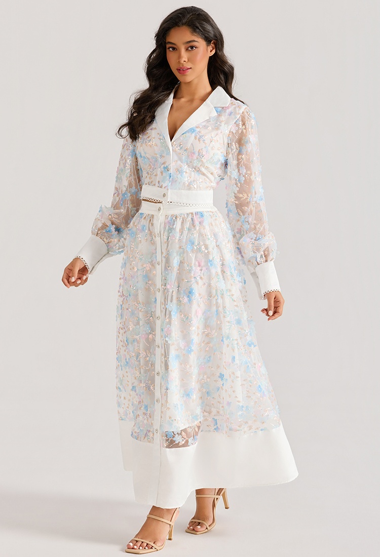 Embroidery long sleeve dress court style long skirt
