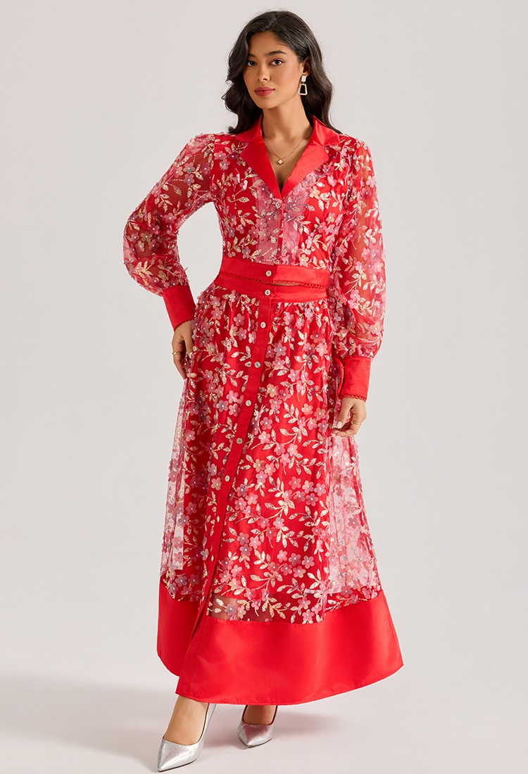 Embroidery long sleeve dress court style long skirt