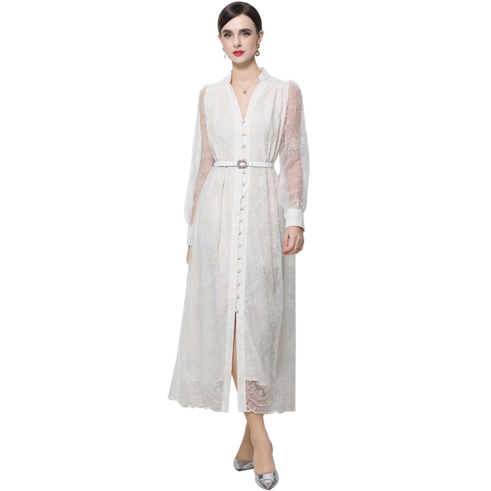 Lace embroidery lantern sleeve long sleeve dress