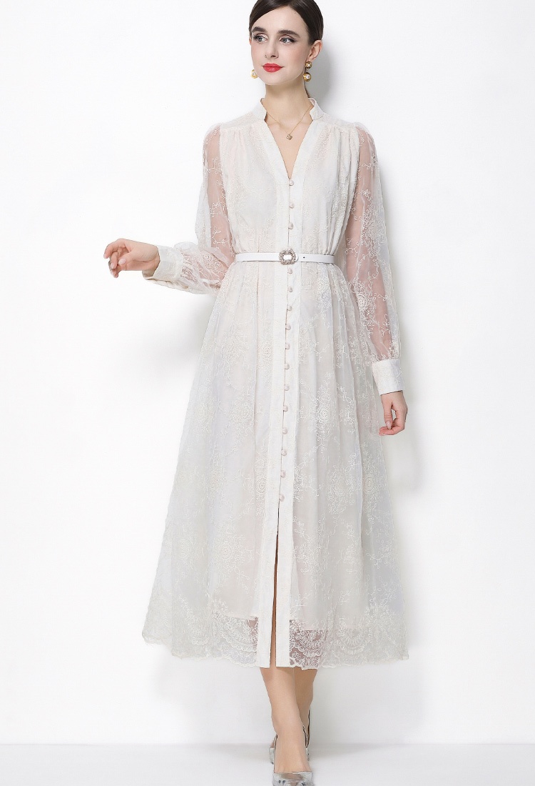 Lace embroidery lantern sleeve long sleeve dress