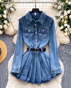 Pocket long sleeve slim lapel Korean style A-line dress