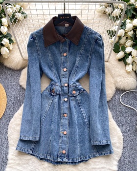 High waist single-breasted denim retro A-line dress