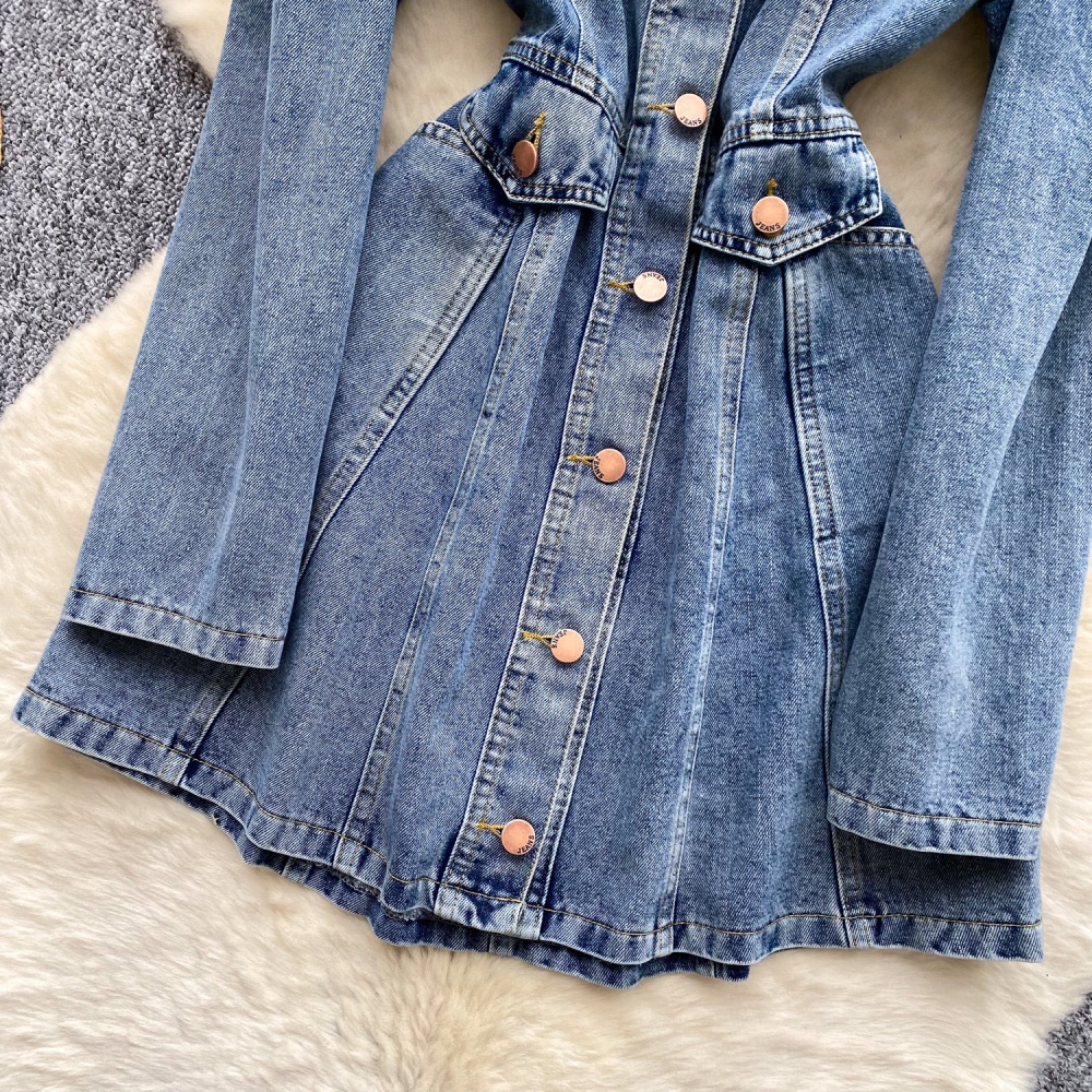 High waist single-breasted denim retro A-line dress