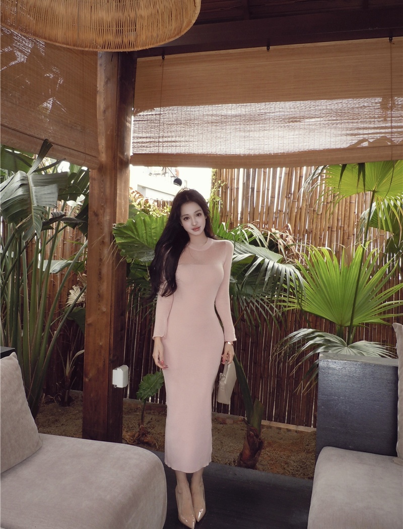 Long sleeve package hip long dress inside the ride dress