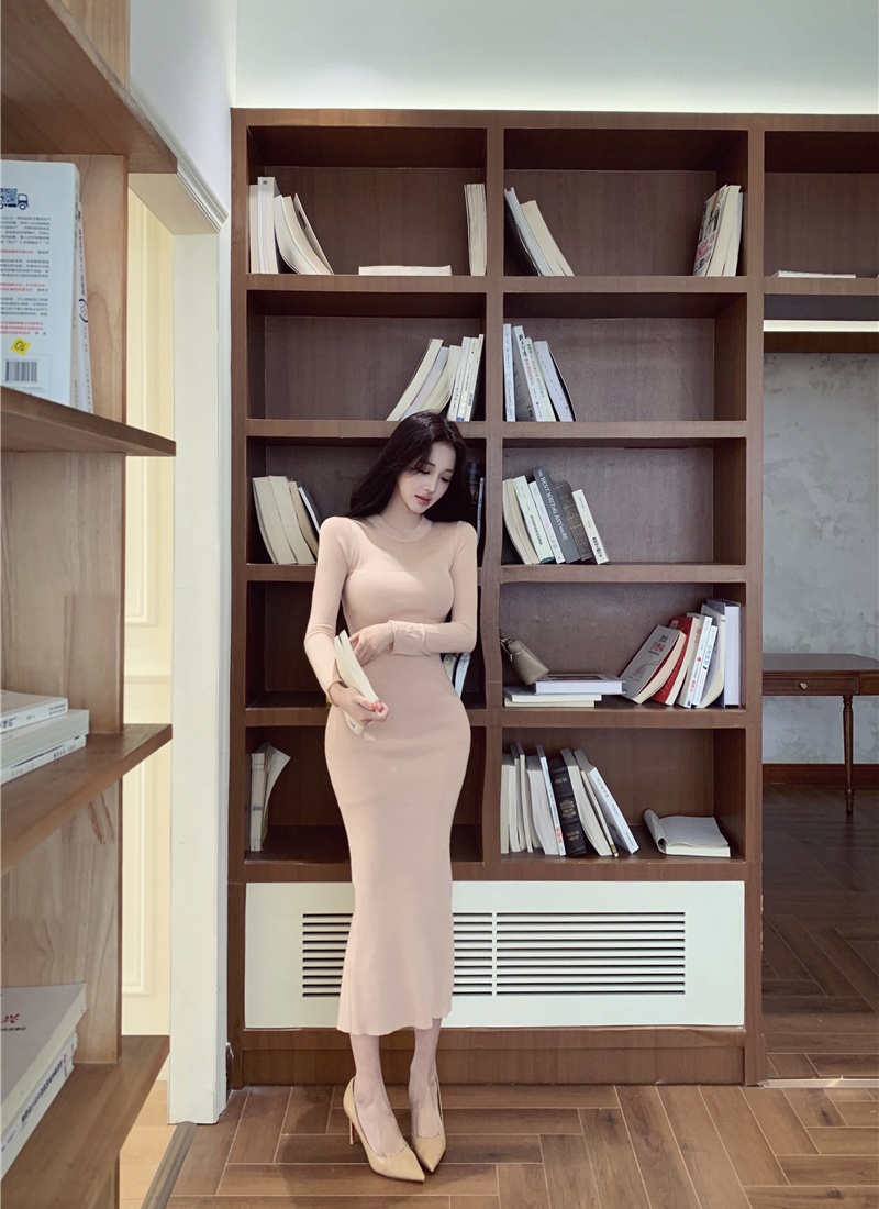 Long sleeve package hip long dress inside the ride dress