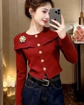 Temperament autumn and winter sweater slim tops for women