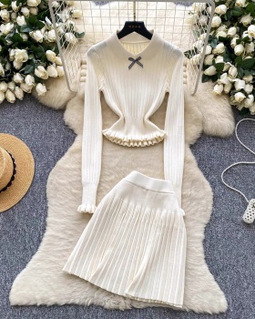 Fashion skirt high waist tops 2pcs set for women