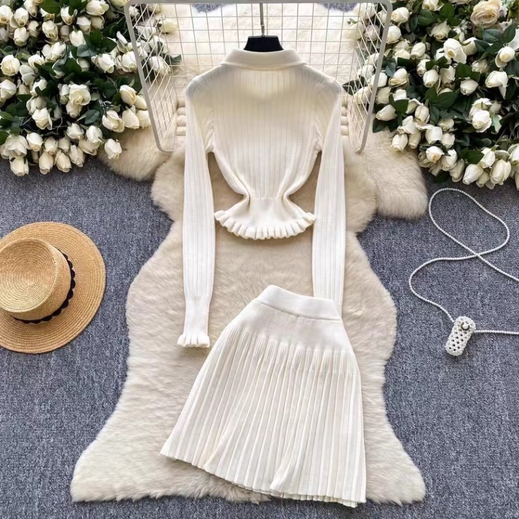 Fashion skirt high waist tops 2pcs set for women