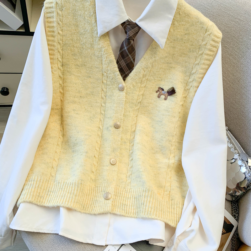 Pony long sleeve waistcoat spring shirt 3pcs set for women