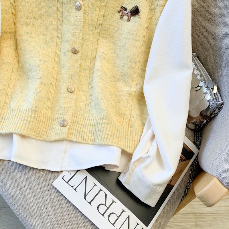 Pony long sleeve waistcoat spring shirt 3pcs set for women