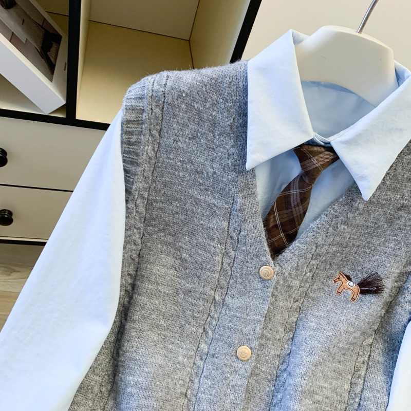 Pony long sleeve waistcoat spring shirt 3pcs set for women