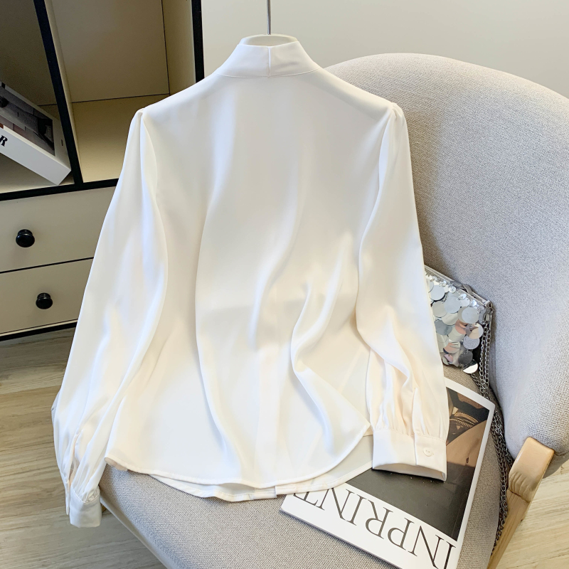 Long sleeve simple shirt temperament tops for women