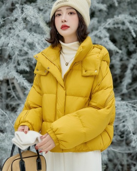 Thermal winter down coat Korean style chanelstyle coat