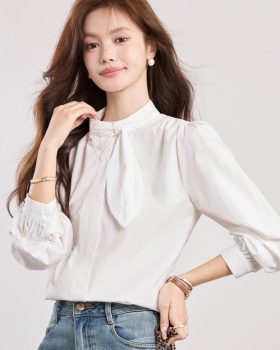 Spring elegant puff sleeve shirt commuting light luxury tops