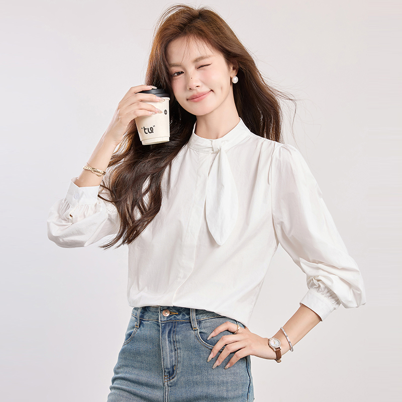Spring elegant puff sleeve shirt commuting light luxury tops
