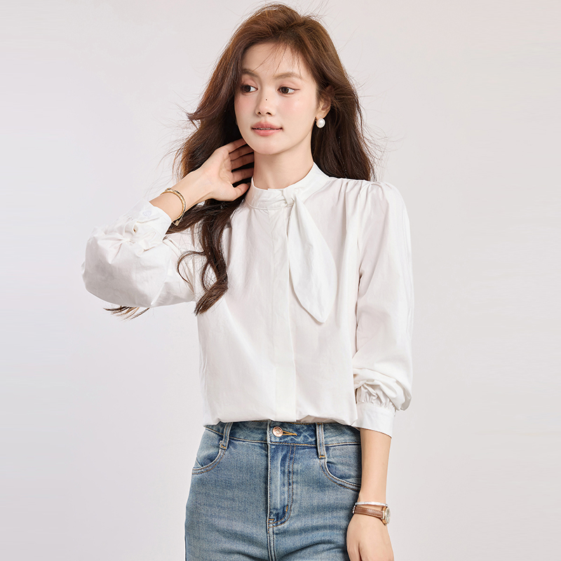 Spring elegant puff sleeve shirt commuting light luxury tops