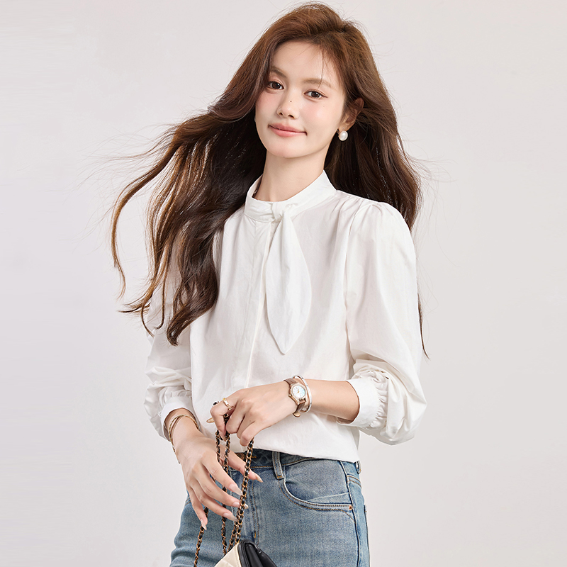 Spring elegant puff sleeve shirt commuting light luxury tops