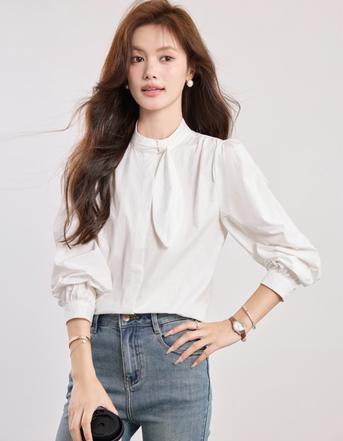 Spring elegant puff sleeve shirt commuting light luxury tops
