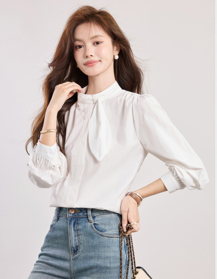 Spring elegant puff sleeve shirt commuting light luxury tops