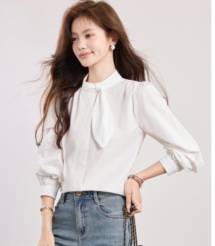 Spring elegant puff sleeve shirt commuting light luxury tops