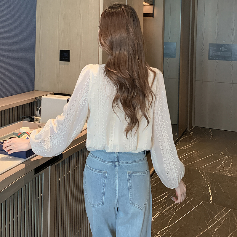 Long sleeve Korean style small shirt loose V-neck tops