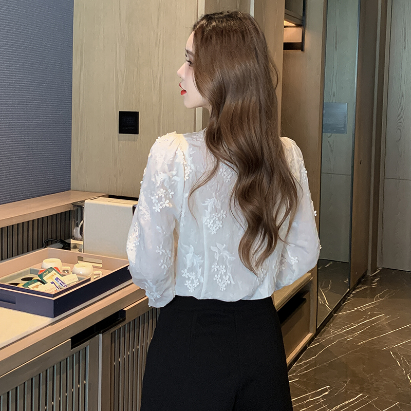 V-neck spring small shirt embroidered shirt for women