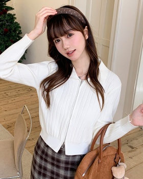 Short autumn and winter tops Korean style cardigan