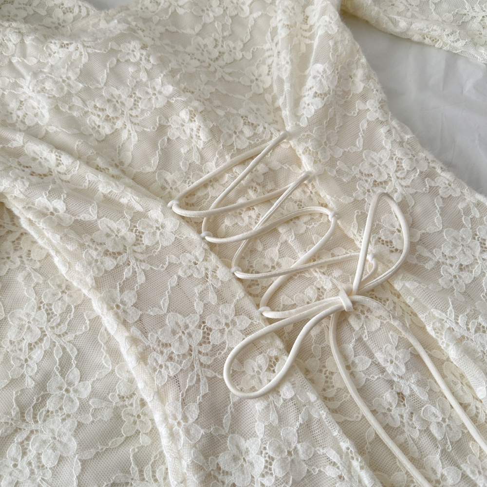 Long sleeve pinched waist plus velvet classic frenum dress