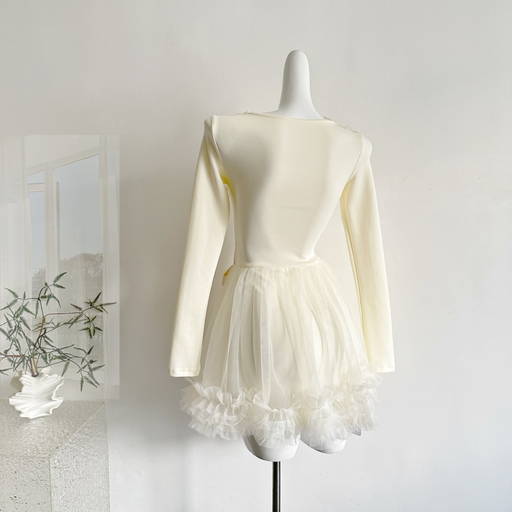 Frenum lace short dress