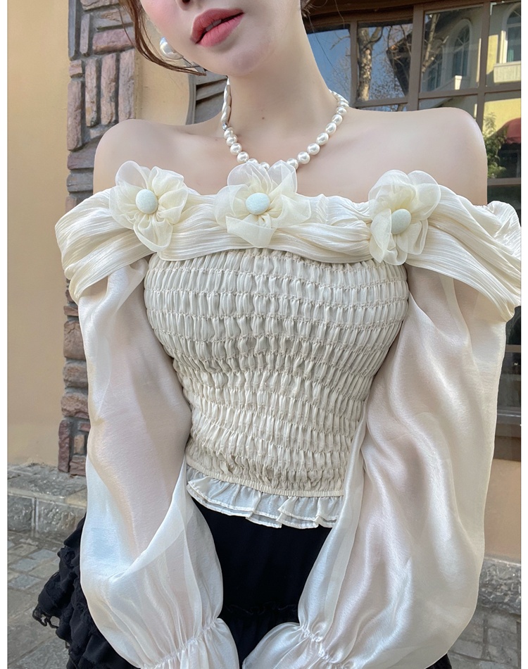 Spring and summer tender shirt France style tops for women