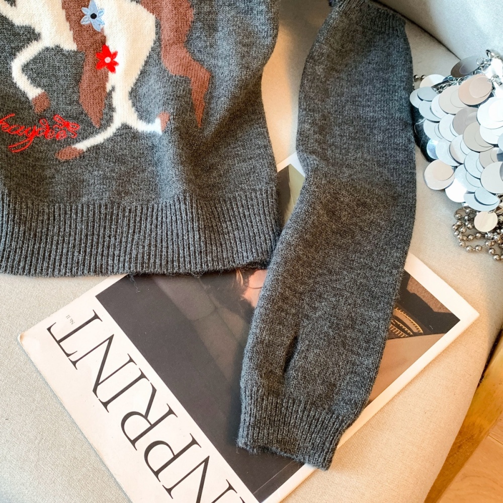 Thermal puff sleeve pony Korean style removable sleeve sweater