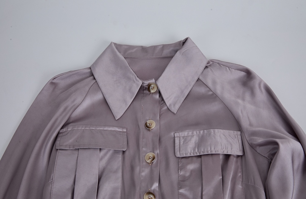 Frenum shirt collar big skirt pinched waist dress