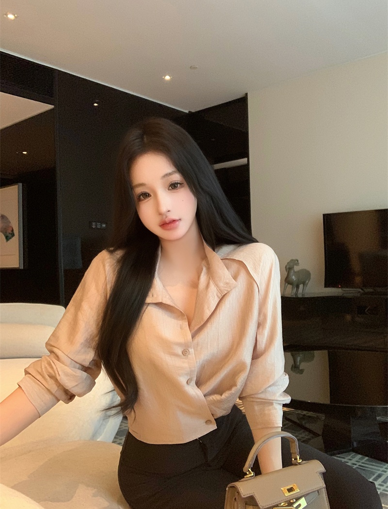 Long sleeve autumn shirt Korean style tops for women