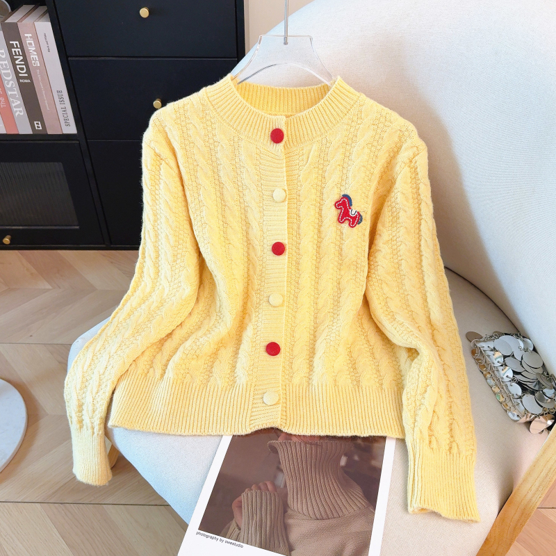 Korean style red spring sweater knitted pony coat