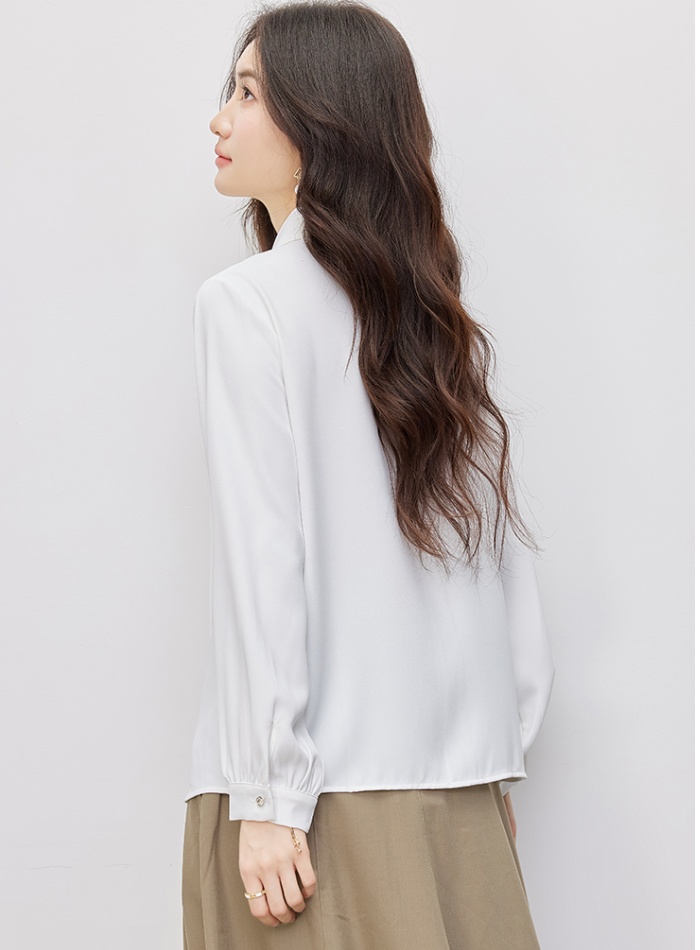 Temperament shirt all-match chiffon shirt for women